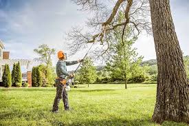 Best Hazardous Tree Removal  in Woodsboro, TX